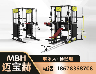 鞍山多功能综合训练器