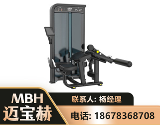 鞍山卧式屈腿训练器